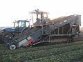 Leon Vissers Vissers aardbeiplanten BV America (25)